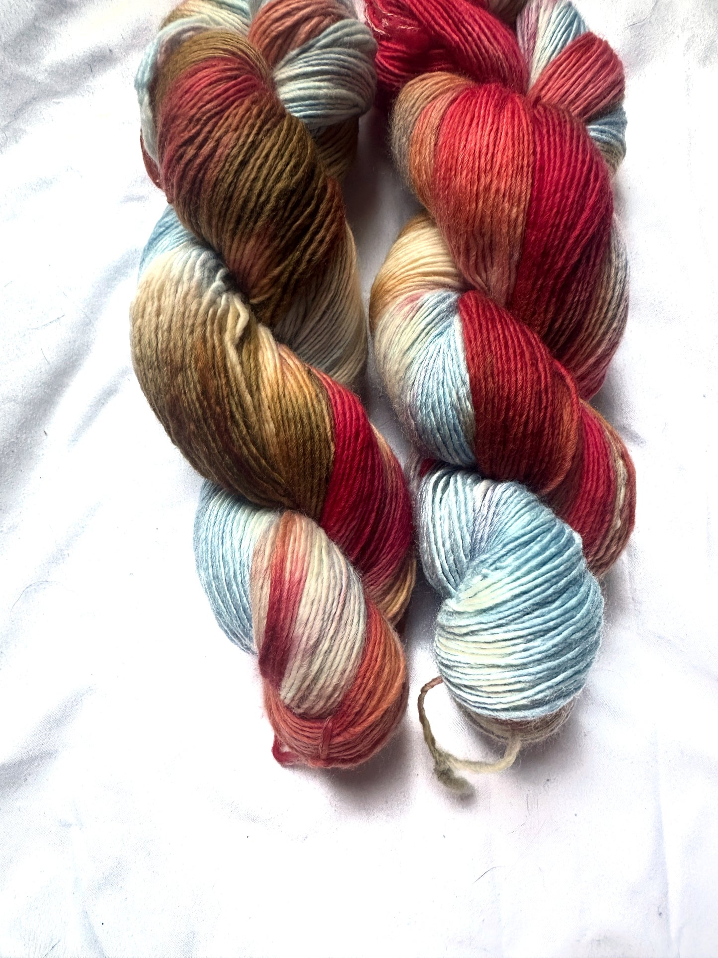Variegated blue red brown wool fingering wool