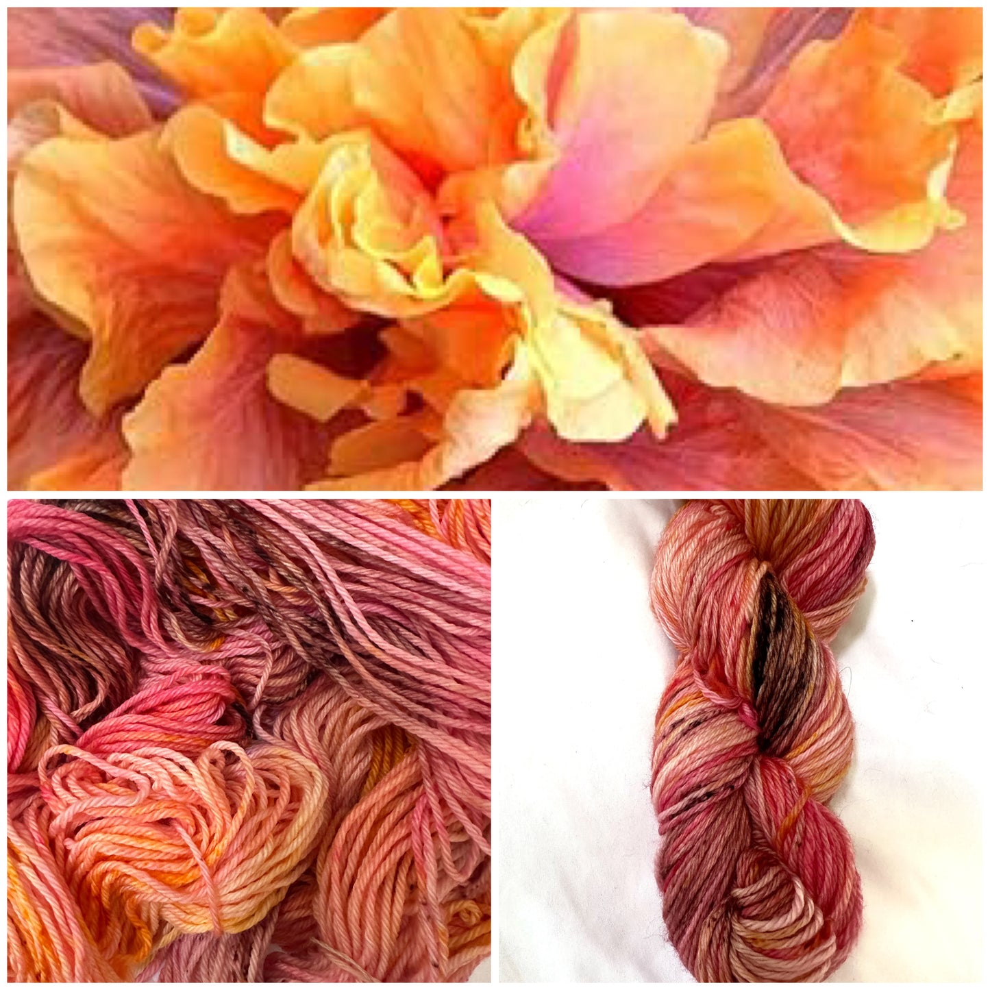 Hibiscus Tea DK Superwash Merino