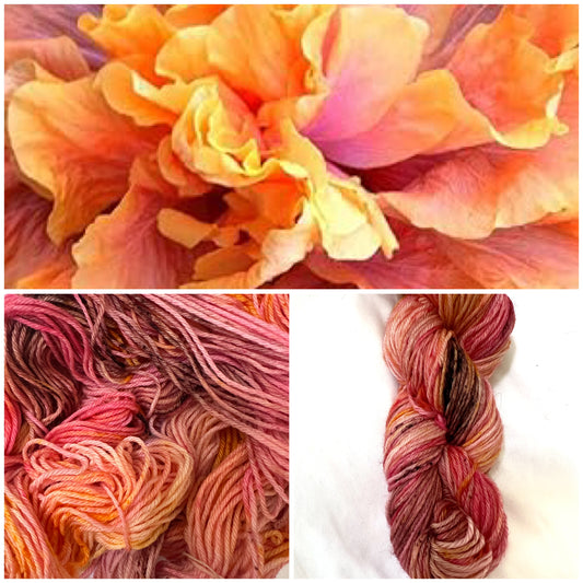 Hibiscus Tea DK Superwash Merino